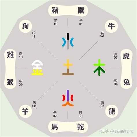 巳的五行|天干地支五行对照表